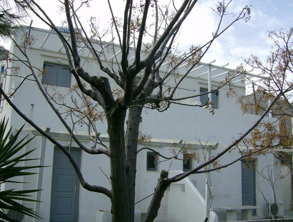 Guest house Xerolithia Kamares (Sifnos)